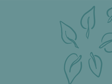 SD28 Stepdown Page Headers - Contact Us