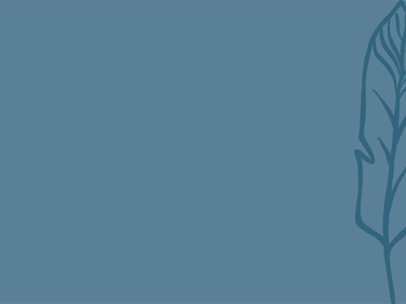 SD28 Stepdown Page Headers - Indigenous Ed