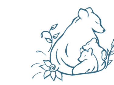 Bear - White Background